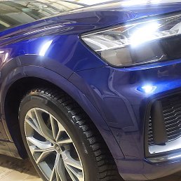 ���, ������, 36 ���