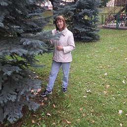 ��������, �����, 62 ����