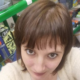 ���������, ������, 41 ���