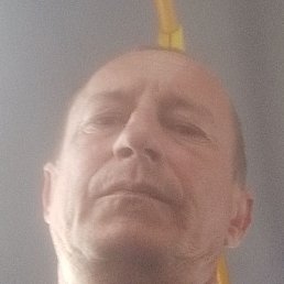 �������, ������, 49 ���