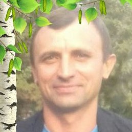 ����, �����, 48 ���