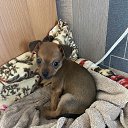 ���� ����, �����������, 48 ��� - ��������� 13 ���� 2023 � ������ ������ ��������