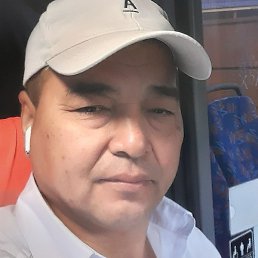 ����, �����-���������, 46 ���