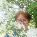 ���� ����, ��������, 66 ��� - ��������� 30 ������� 2023 � ������ ���� ����������