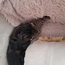 ���� ����, �������, 62 ���� - ��������� 3 ������� 2023 � ������ ���� ����������