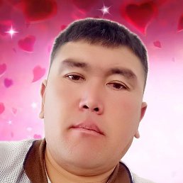 ������, �������, 41 ���