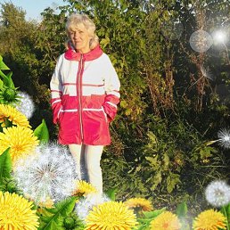 �������, ������������, 71 ���