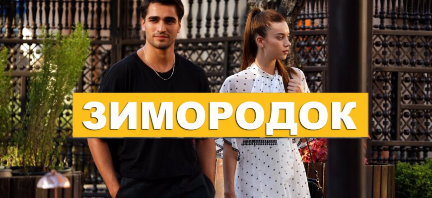 Турецкий сериал Зимородок все серии тут ...