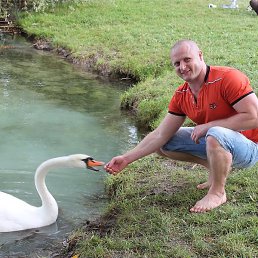 �olea, ������, 43 ����