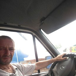 ������, ������, 50 ���