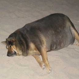 ����, ����, 96 ���