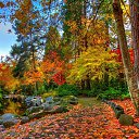 ���� Anjei, ������ - ��������� 29 �������� 2023 � ������ ������ ��������