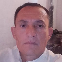 Yodgor, �������, 46 ���