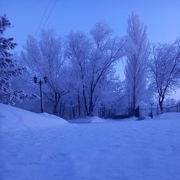 �����, �������, 35 ���