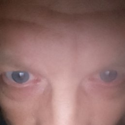 ����, ����, 55 ���