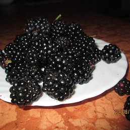 ���� �������, ���������, 53 ���� - ��������� 9 ����� 2023