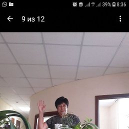 �����, ��������, 60 ���