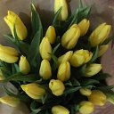���� �����, �����-��������� - ��������� 27 ������� 2023 � ������ ���� ����������