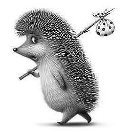 ���� �������, ������, 41 ��� - ��������� 23 ���� 2023