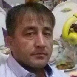 ������, ������, 48 ���