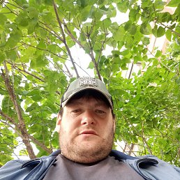 ���������, ������, 36 ���