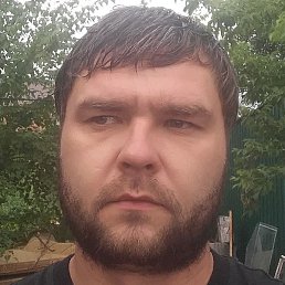 ��������, ������, 37 ���