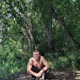 ��������, ����, 56 ���