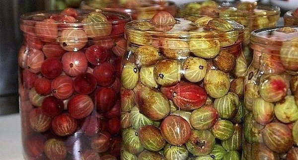 Крыжовник, особенно зеленый, обладает уникальным свойством... Не зря я его обожаю!!! Оказывается, ...