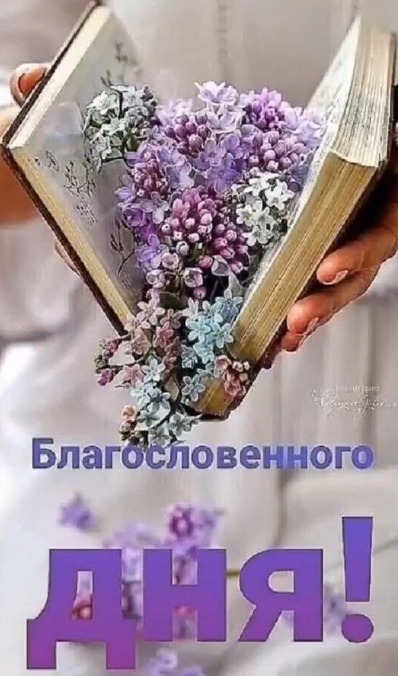 ��� ���� - 10 ��� 2023 � 09:10