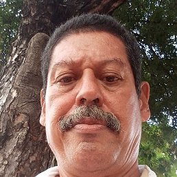 Dago, ����, 64 ����