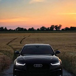 �����, ������ ��������, 44 ����