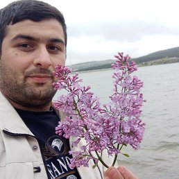 ���� �����, �����������, 33 ���� - ��������� 8 ��� 2023