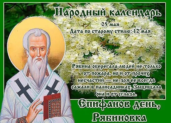 25 мая - Епифанов день, Рябиновка. —————————————— В этот день отмечается память Епифания Кипрского — ...