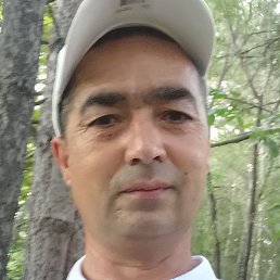 ����, �������, 41 ���