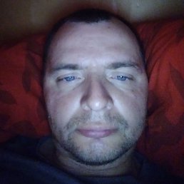 �����, �����-���������, 41 ���