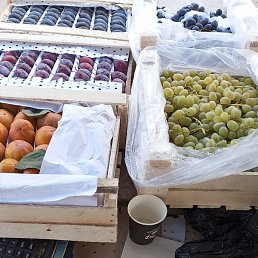 ���� �, ������, 35 ���