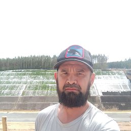 ���� ����������, ����, 42 ���� - ��������� 24 ������� 2023