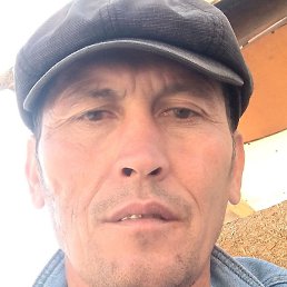 �����, ����, 44 ����