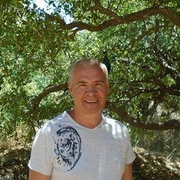 ��������, ���������, 66 ���