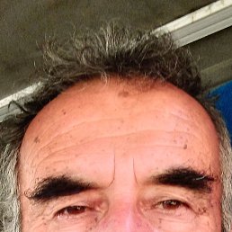 �����, ������, 65 ���