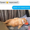 ���� Nikita&reg;, ������������, 106 ��� - ��������� 29 ������� 2023 � ������ ������ ��������