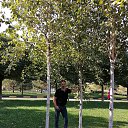 ���� ������, ���������, 42 ���� - ��������� 29 �������� 2023 � ������ ���� ����������