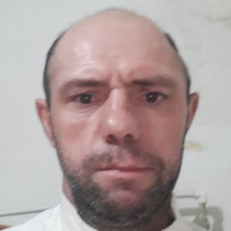 �����., ������, 48 ���