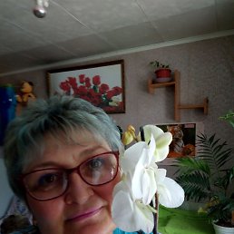 ���� ����, ������, 53 ���� - ��������� 29 ��� 2023