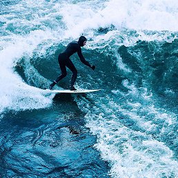 �������, �����������, 36 ���