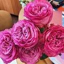  , -, 52  -  22  2023    