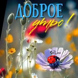 �����, �������, 42 ����