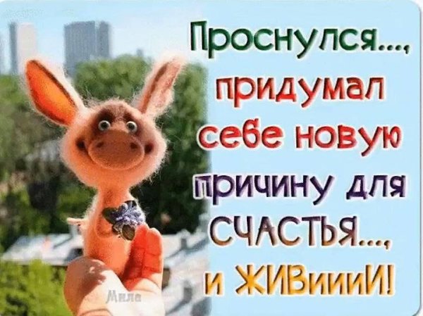 Доброе Утро! Проснувшись утром рано, Хочется так спать, Спалось как будто мало, И тут пора вставать. ...
