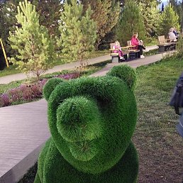 ������, ��������, 41 ���