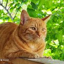 ���� ��������, ������, 52 ���� - ��������� 12 ������� 2023